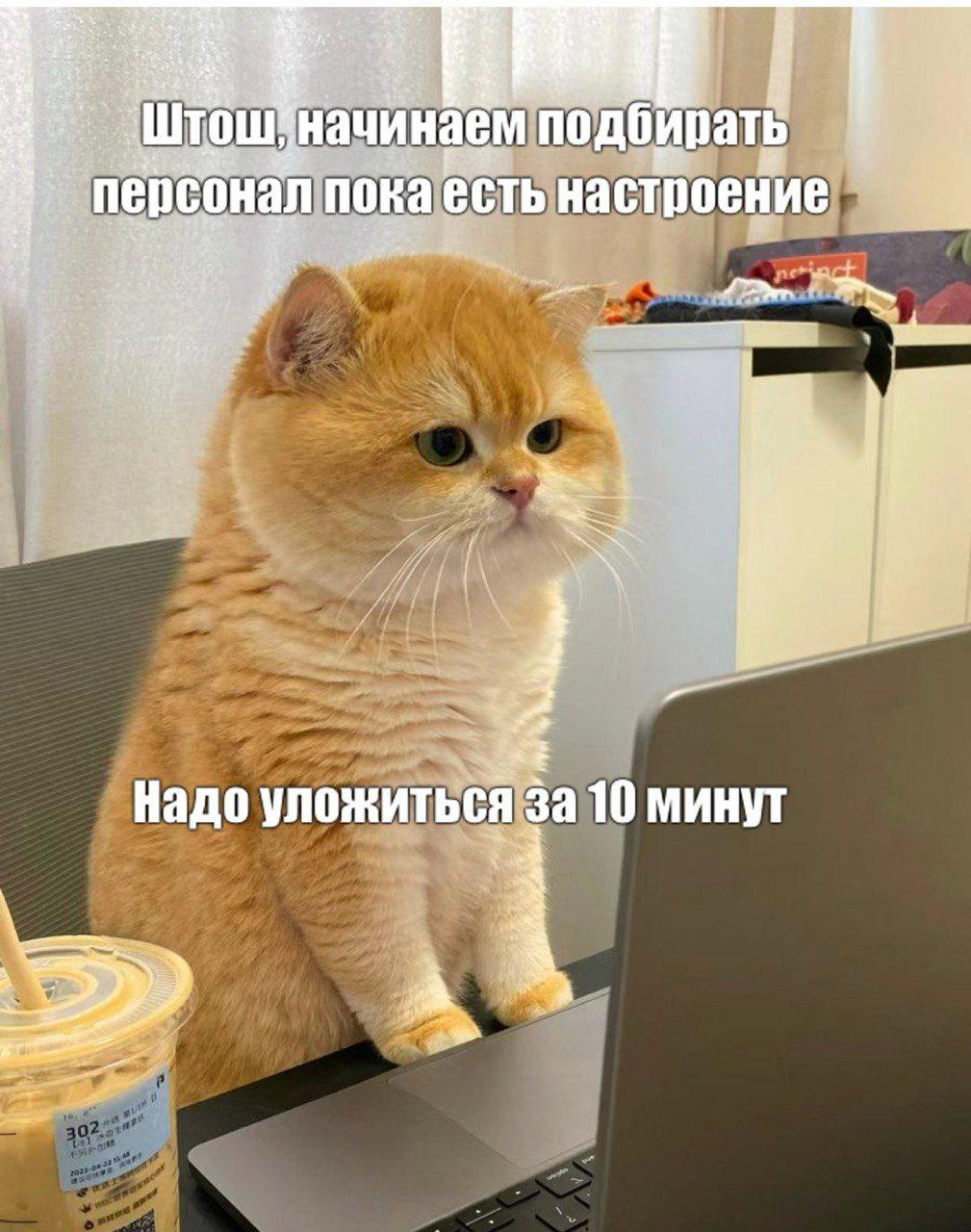 Фото от Элина