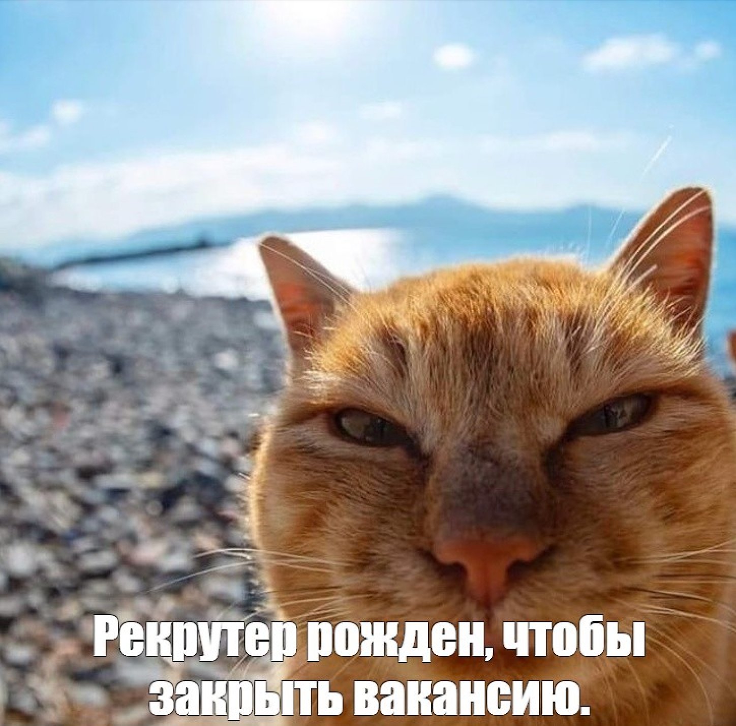 Фото от Анастасия