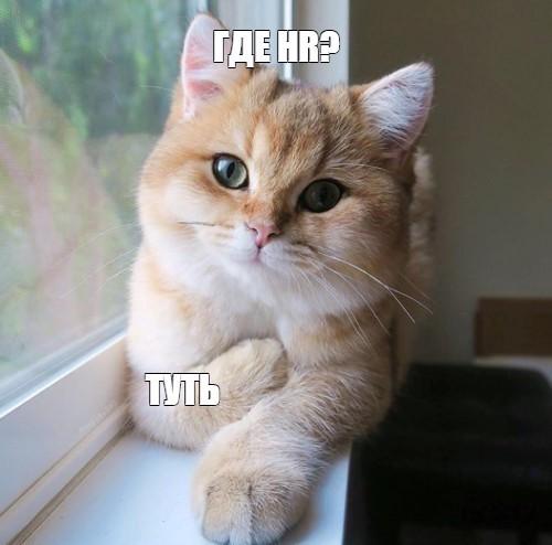 Фото от Оксана Ширшакова