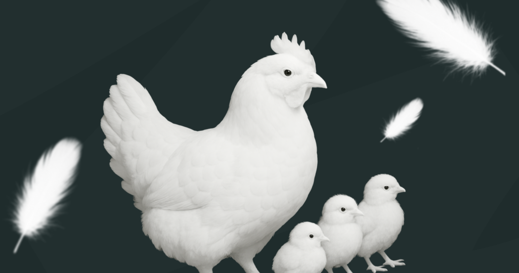Россиянка украла 10 кур у бывшего работодателя, чтобы отомстить за задержку зарплаты