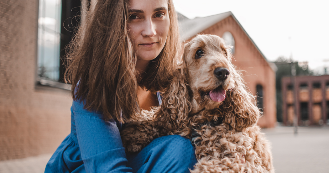 Наталья Шипшилей, Собака-гуляка: