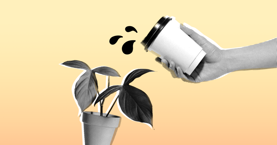 Почему выгоднее нанимать младших эйчаров, чем опытных, и как найти лучшего специалиста