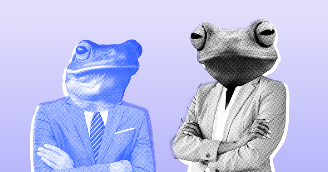 Кто такие «офисные лягушки‎»‎ и как их распознать