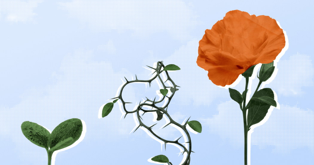 Как управлять командой на разных этапах по модели Такмана