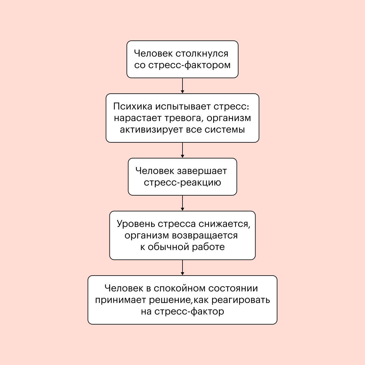 Что такое стрессоустойчивость