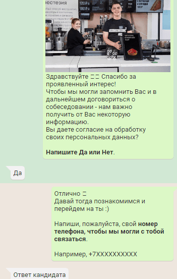 Ведение подбора с помощью чт-бота