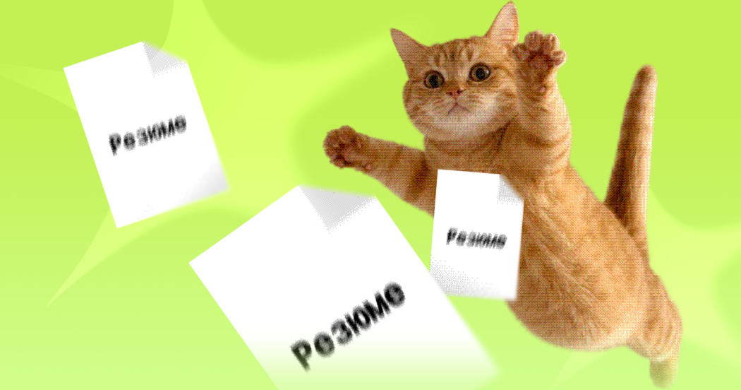 Как отправить резюме из Хантфлоу на почту нанимающему, если у него лапки